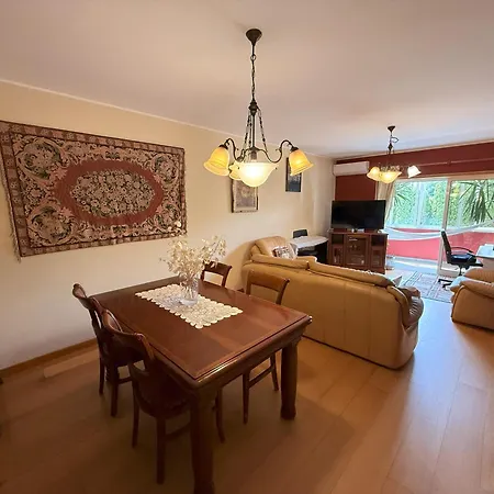 公寓 Cozy And Quiet Near The Center 布拉加