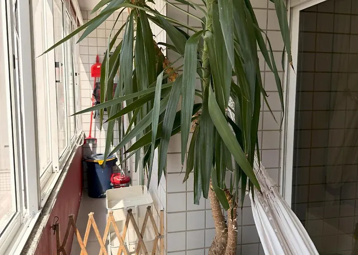 Apartment Cozy And Quiet Near The Center Braga